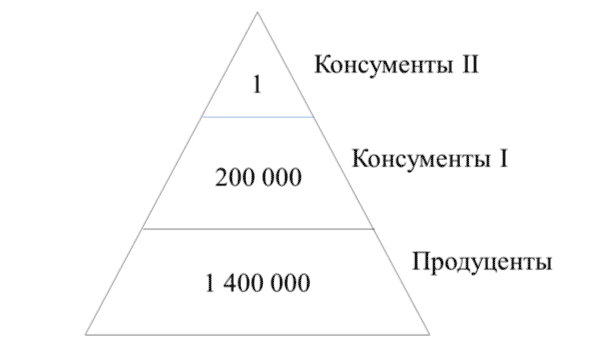 Постройте пирамиду чисел пищевой цепи. Пирамида биомассы третьей пищевой цепи 40 тонн. Пирамида биомассы правило 10 процентов. Экологическая пирамида правило 10 процентов. Основные признаки финансовой пирамиды.