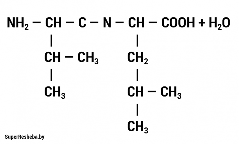 Какими свойствами обладает полипептид гидрофильными или гидрофобными
